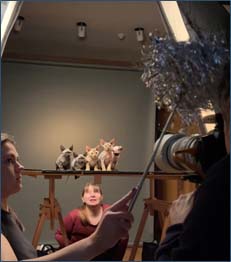 Tim Flach Photography book 'Felline' Angletwitch Devon Rex